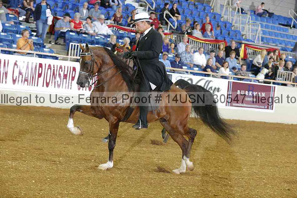 Proof 14usn_30547