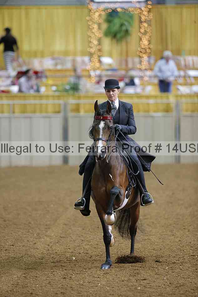 Proof 14usn_30549