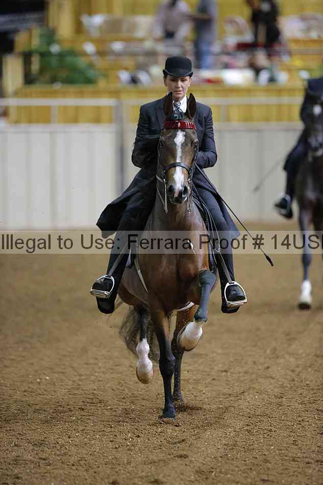 Proof 14usn_30557
