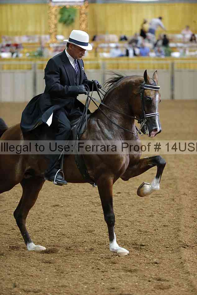 Proof 14usn_30558