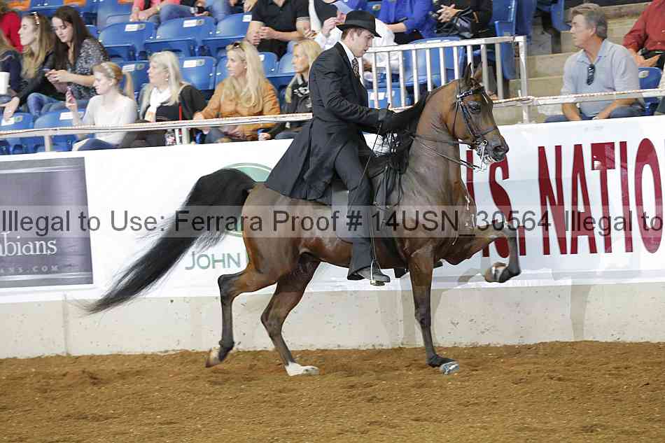 Proof 14usn_30564