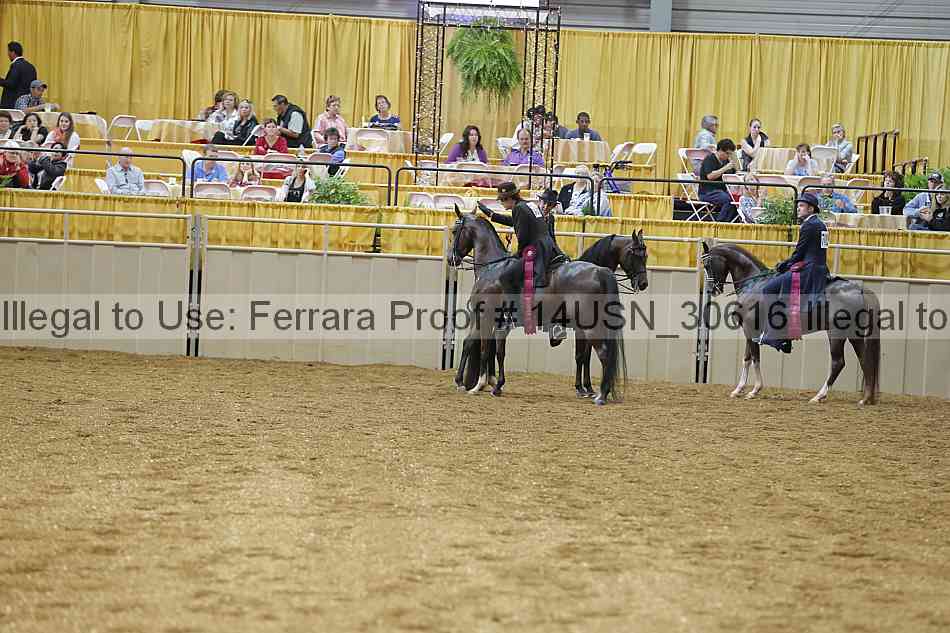 Proof 14usn_30616