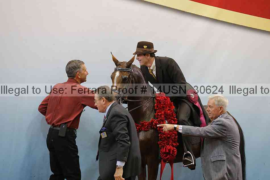 Proof 14usn_30624
