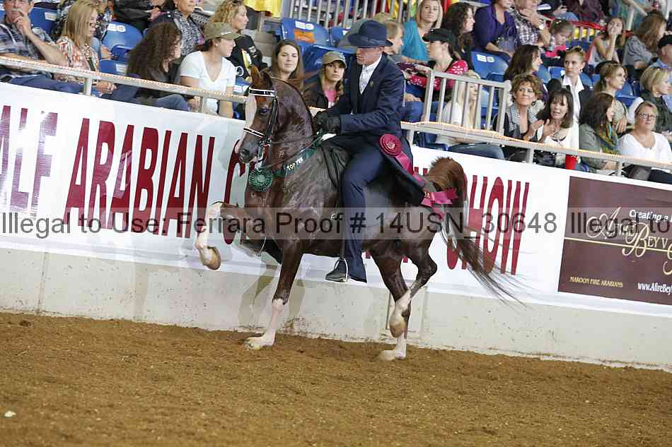 Proof 14usn_30648