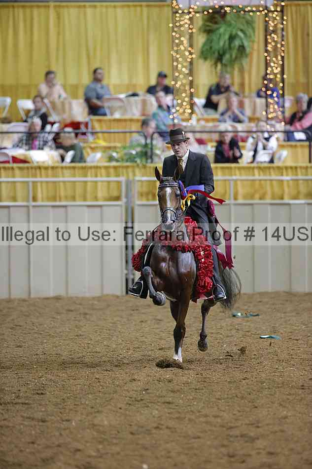 Proof 14usn_30677