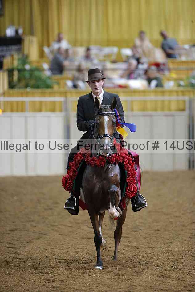 Proof 14usn_30679