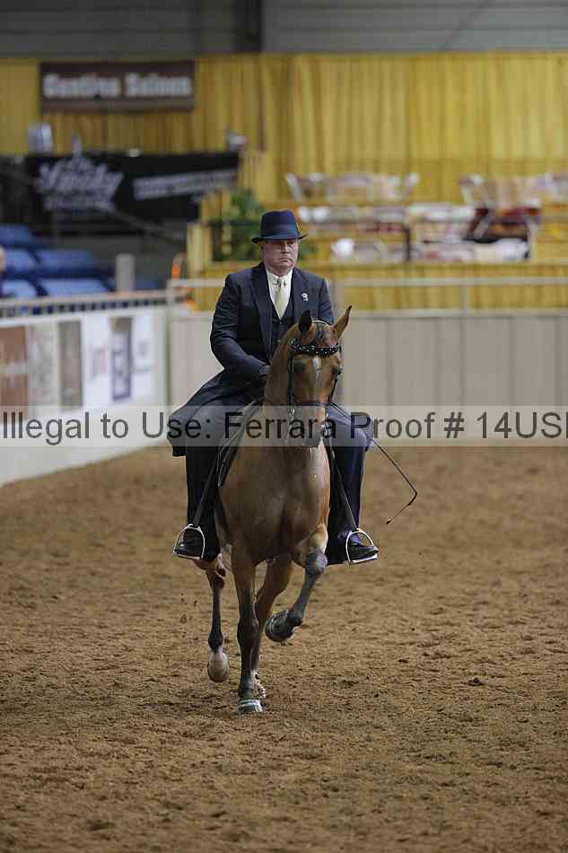 Proof 14usn_00529