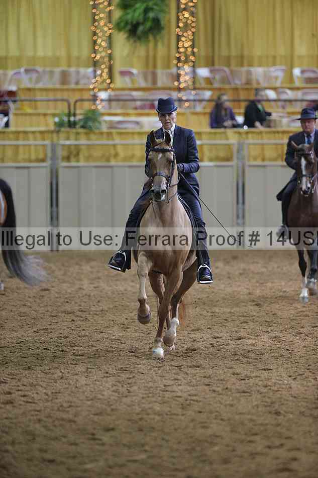 Proof 14usn_00535