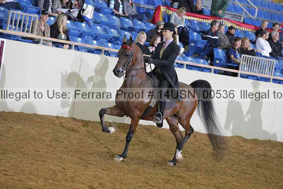 Proof 14usn_00536