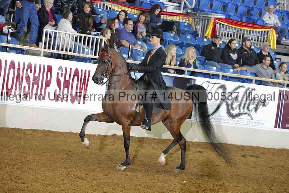 Proof 14usn_00537