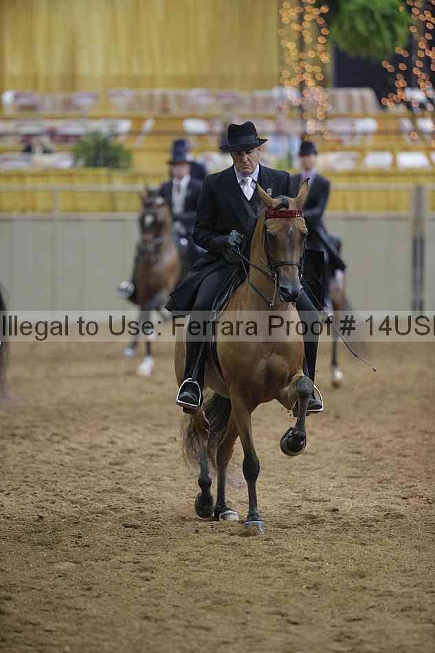Proof 14usn_00542