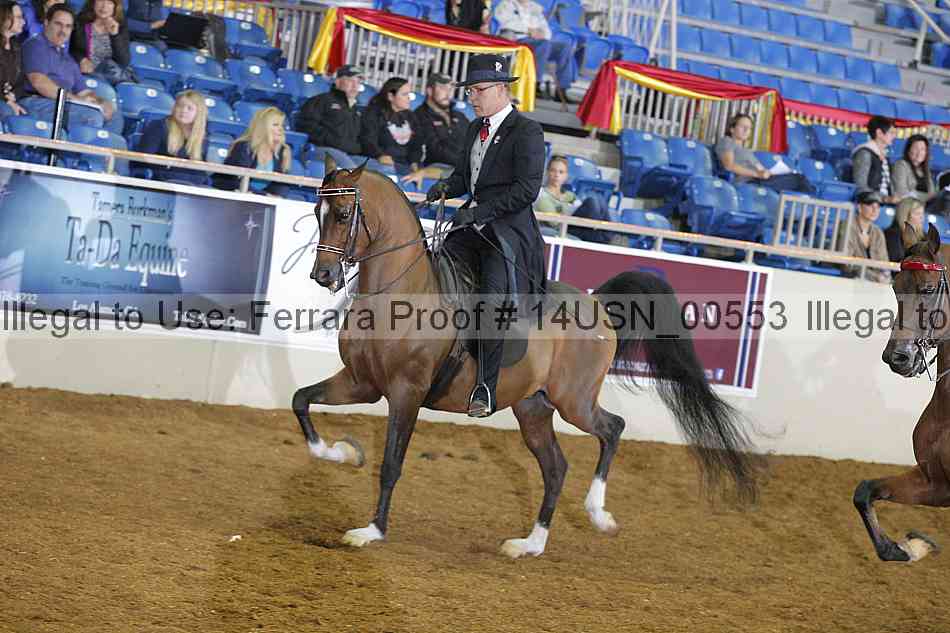 Proof 14usn_00553