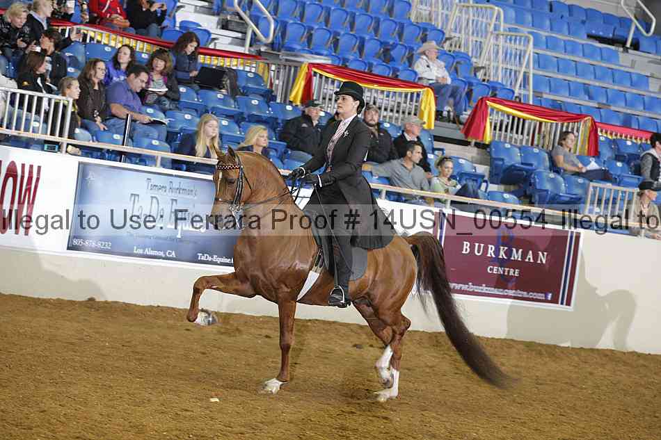 Proof 14usn_00554