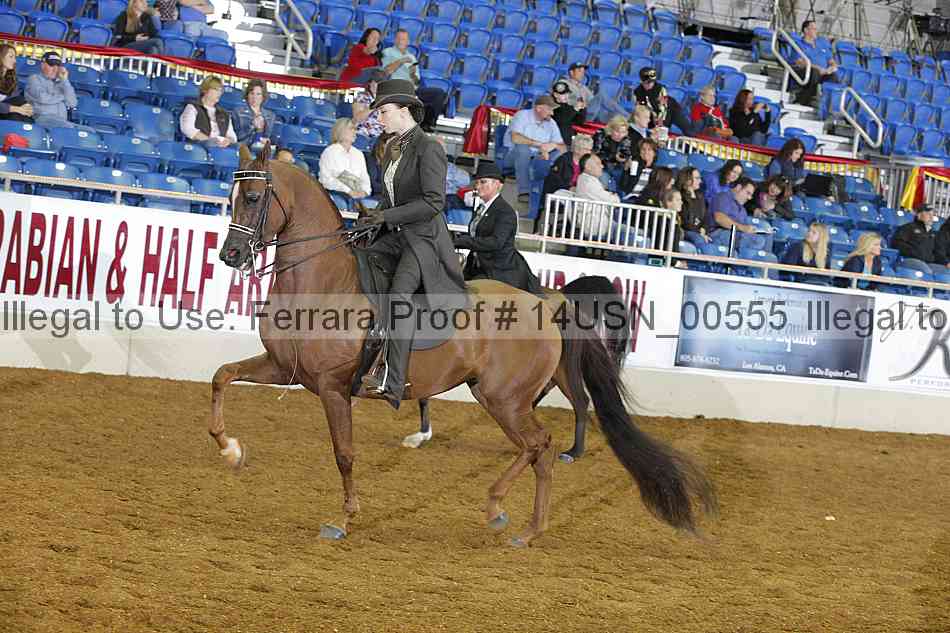Proof 14usn_00555