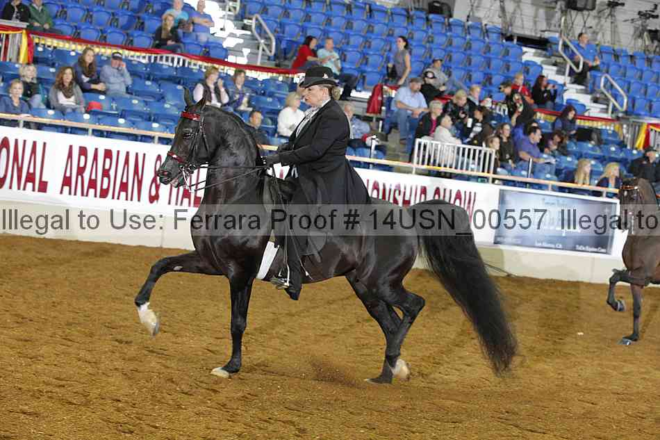 Proof 14usn_00557
