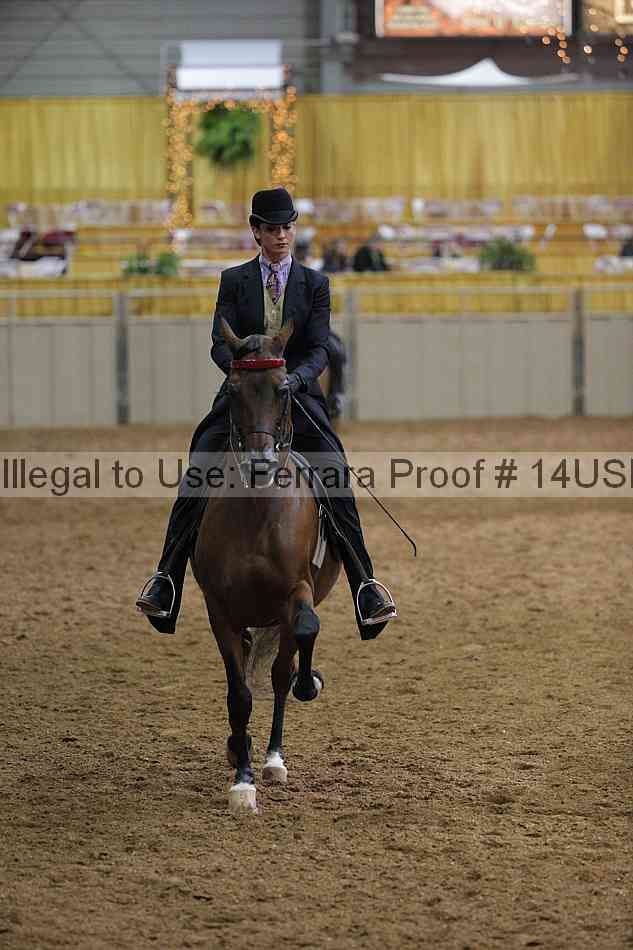 Proof 14usn_00558