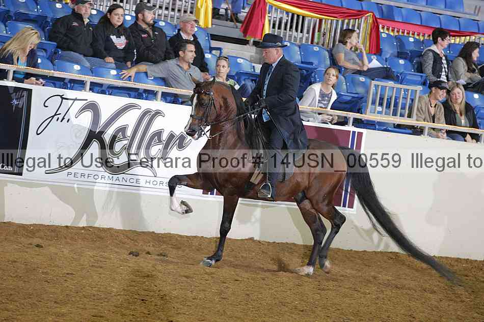 Proof 14usn_00559