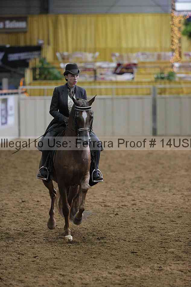 Proof 14usn_00560