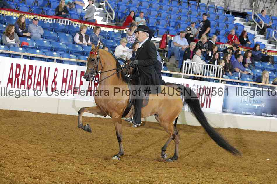Proof 14usn_00561