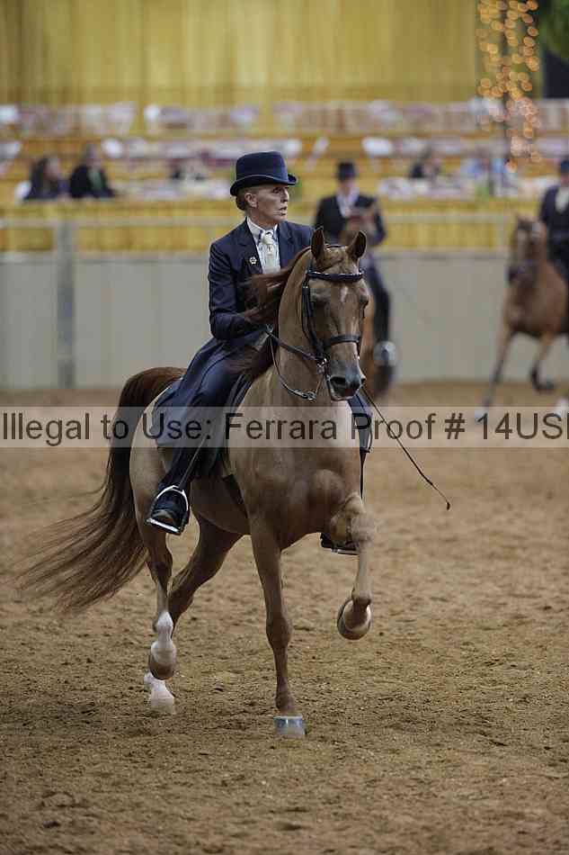 Proof 14usn_00563