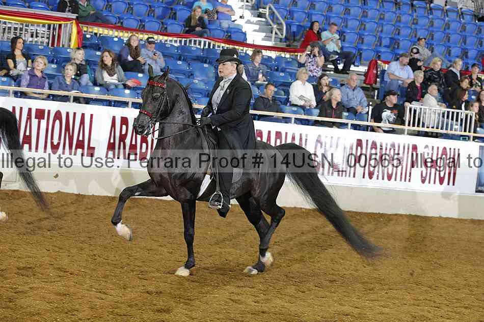 Proof 14usn_00565