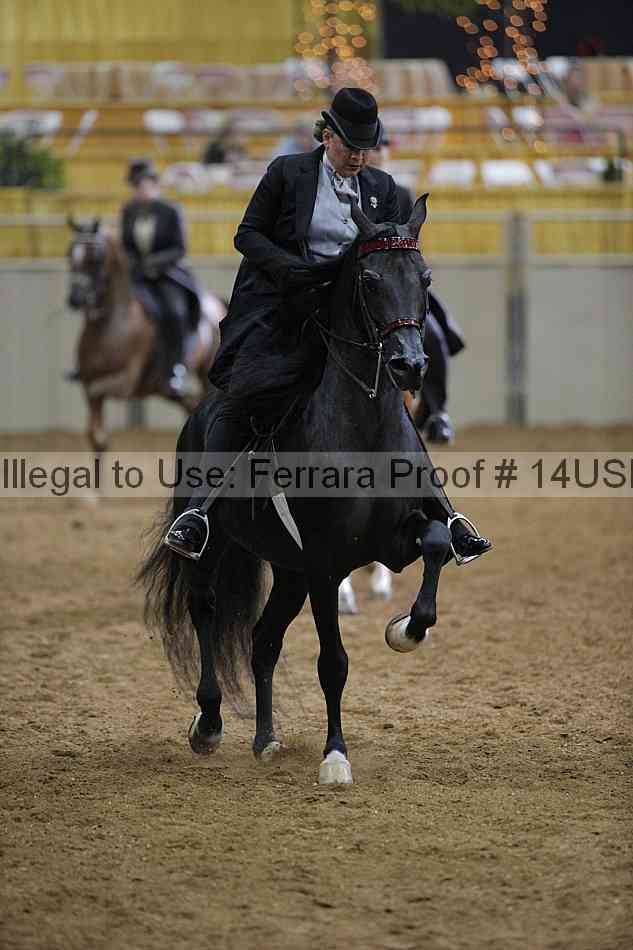 Proof 14usn_00569