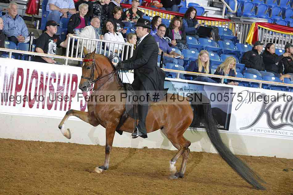 Proof 14usn_00575