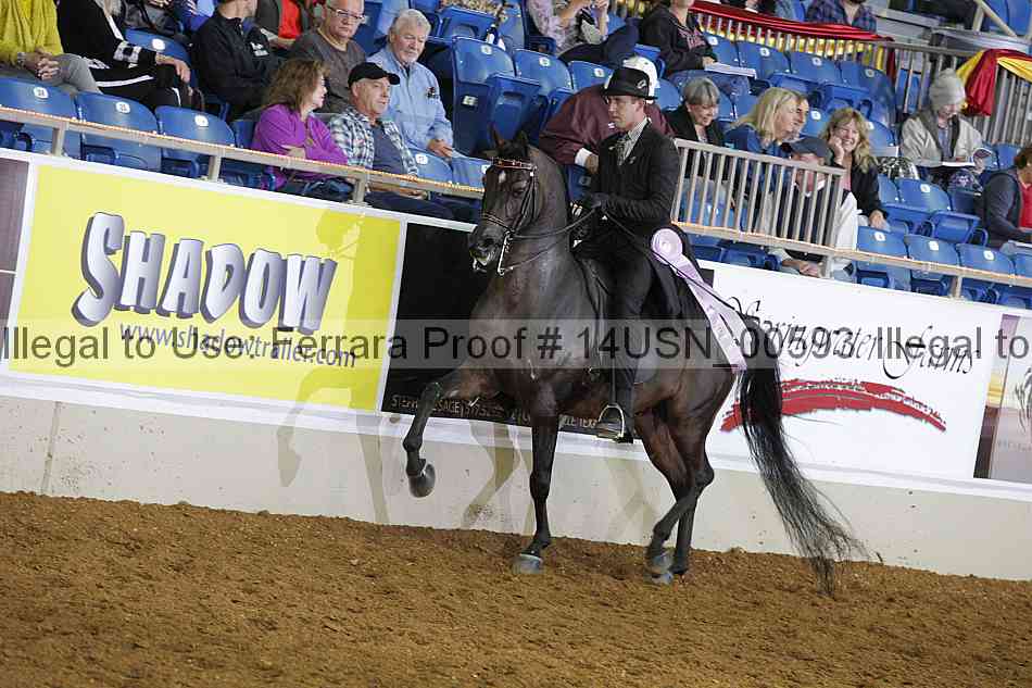 Proof 14usn_00593