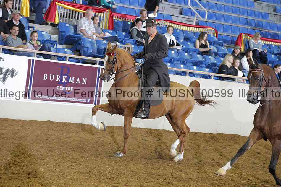 Proof 14usn_00599
