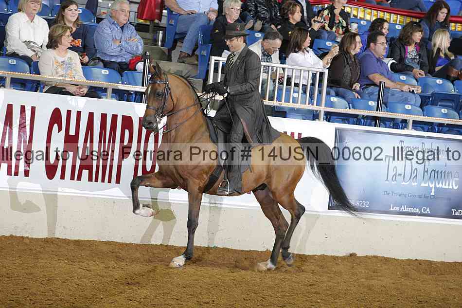 Proof 14usn_00602