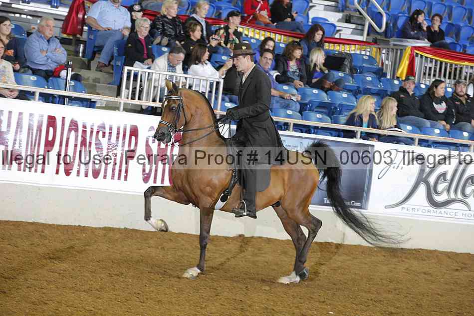 Proof 14usn_00603