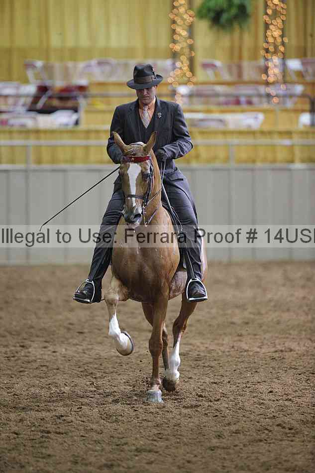 Proof 14usn_00604