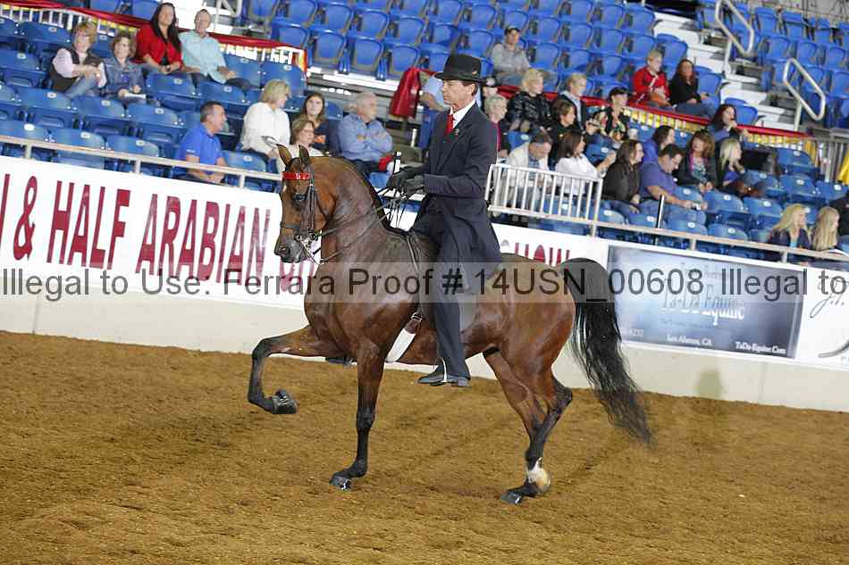 Proof 14usn_00608