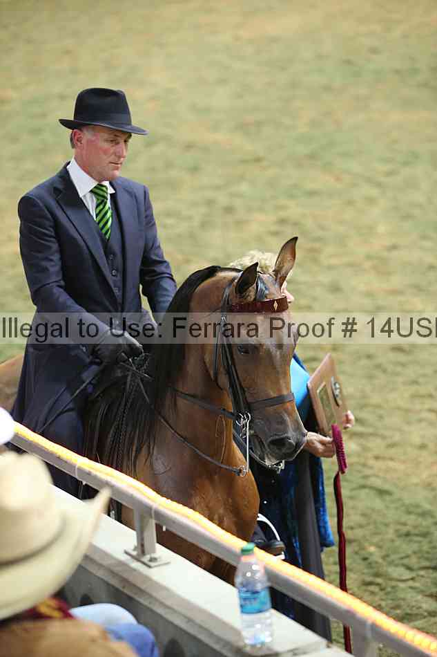 Proof 14usn_33756