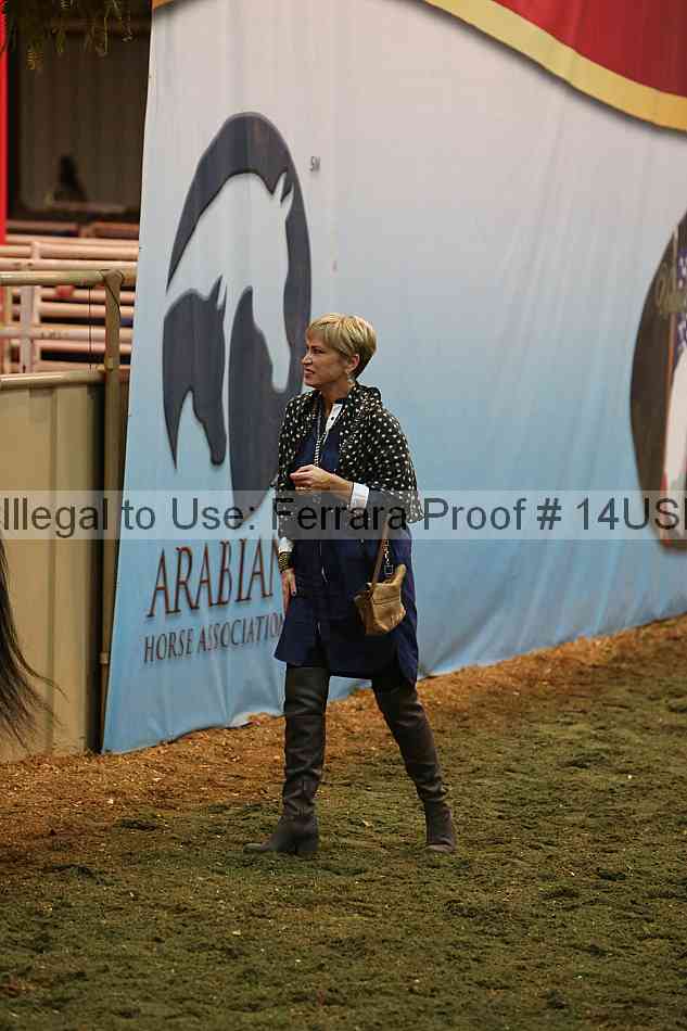 Proof 14usn_33792