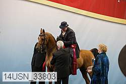 14usn_33803 proof