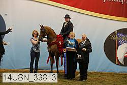 14usn_33813 proof