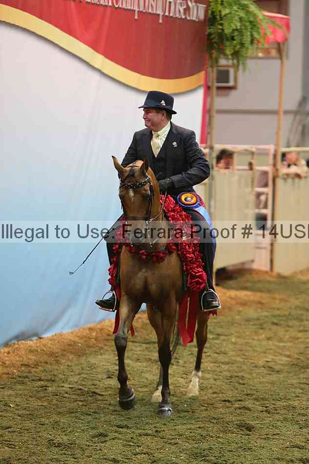 Proof 14usn_33832
