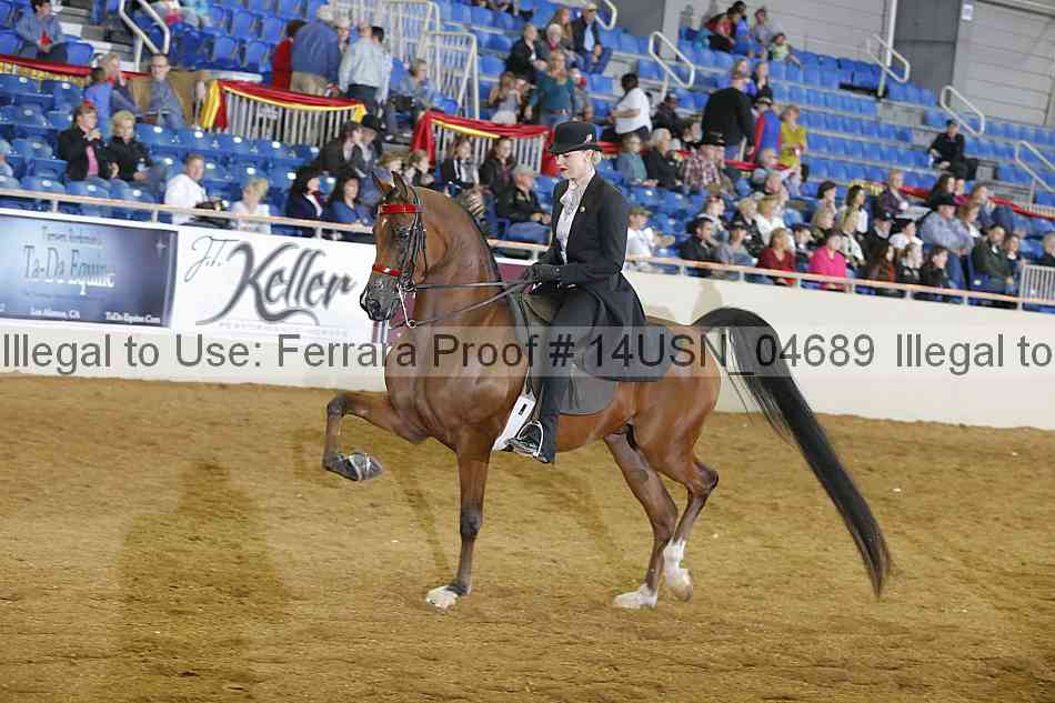 Proof 14usn_04689