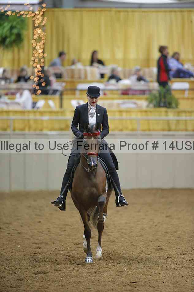 Proof 14usn_04695