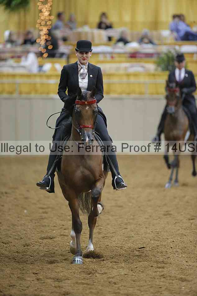 Proof 14usn_04697