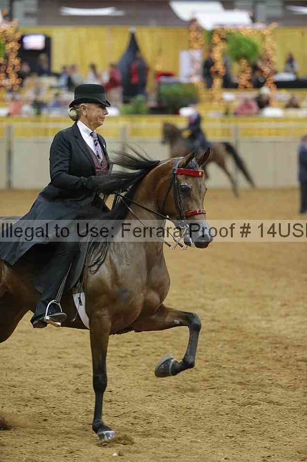 Proof 14usn_04703