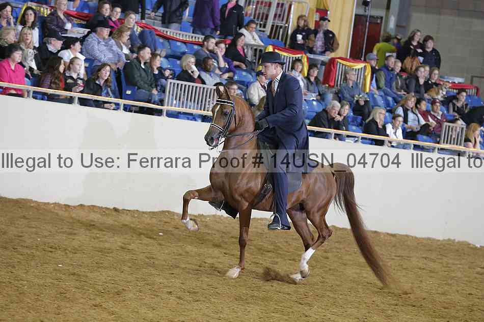 Proof 14usn_04704
