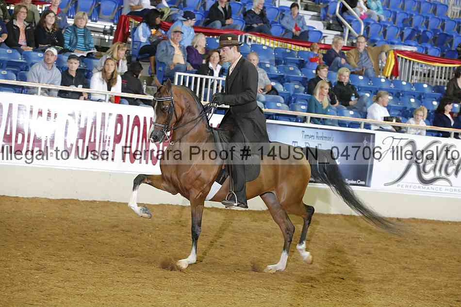 Proof 14usn_04706