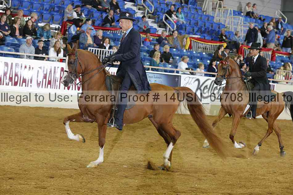 Proof 14usn_04708
