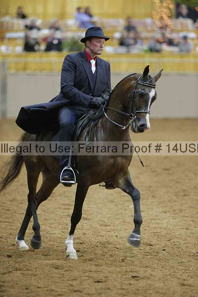 Proof 14usn_04709