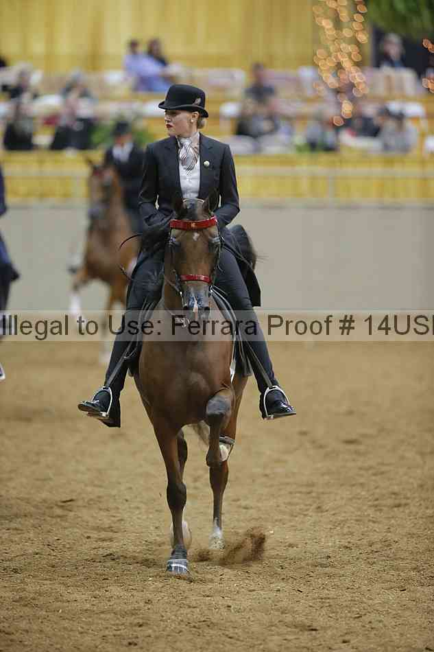 Proof 14usn_04713
