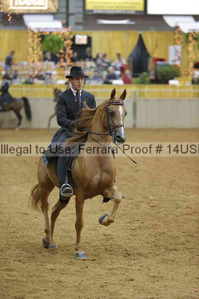 Proof 14usn_04724