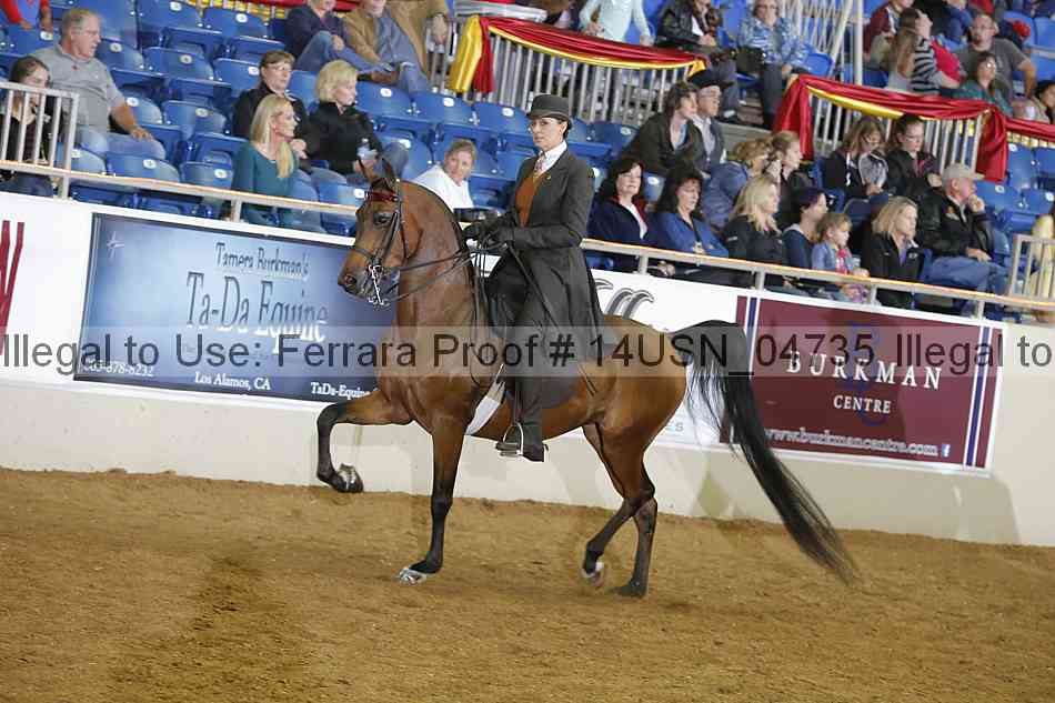 Proof 14usn_04735