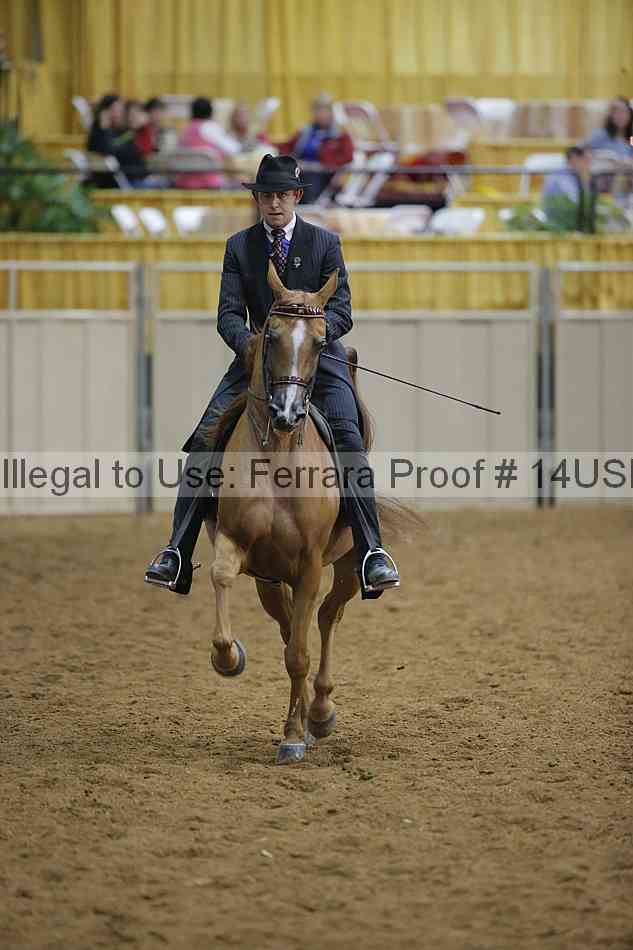 Proof 14usn_04736